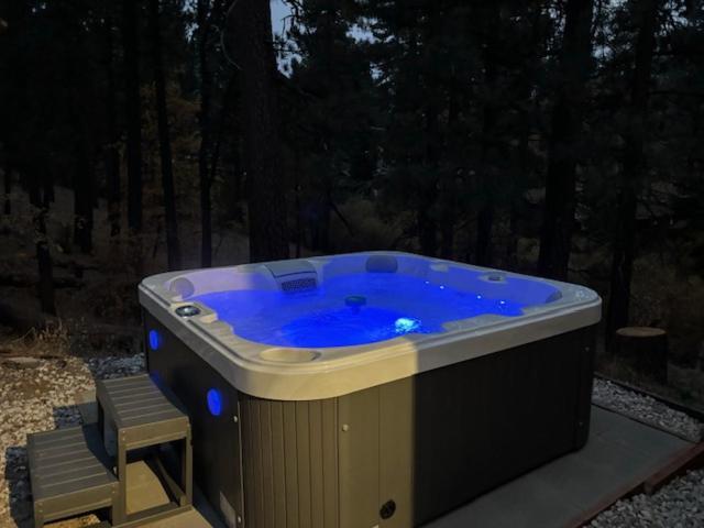 Snow Bunny Lodge - Perfect Big Bear Getaway! Deck With A New Hot Tub And Charcoal Barbecue! ビッグ・ベアー・レイク エクステリア 写真